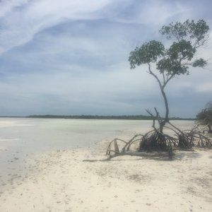 Meet your Posher, Bob (TARA)